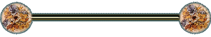 frndbar1.gif (9000 bytes)